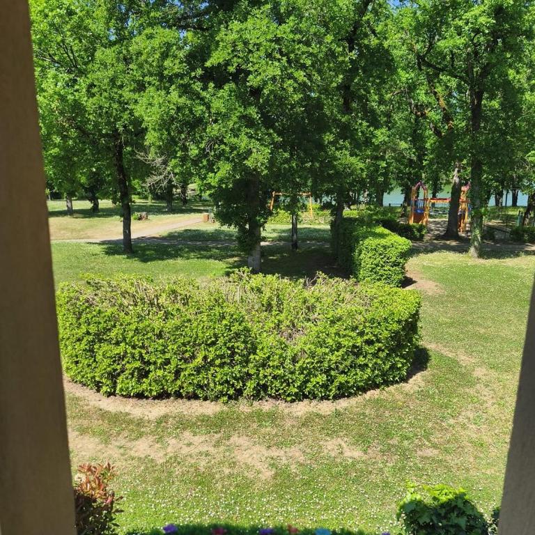 Le Cocon du lac, Duplex 5 pers, Piscine avec Jacuzzi, lac et pêche - Apartment with Garden View - 27