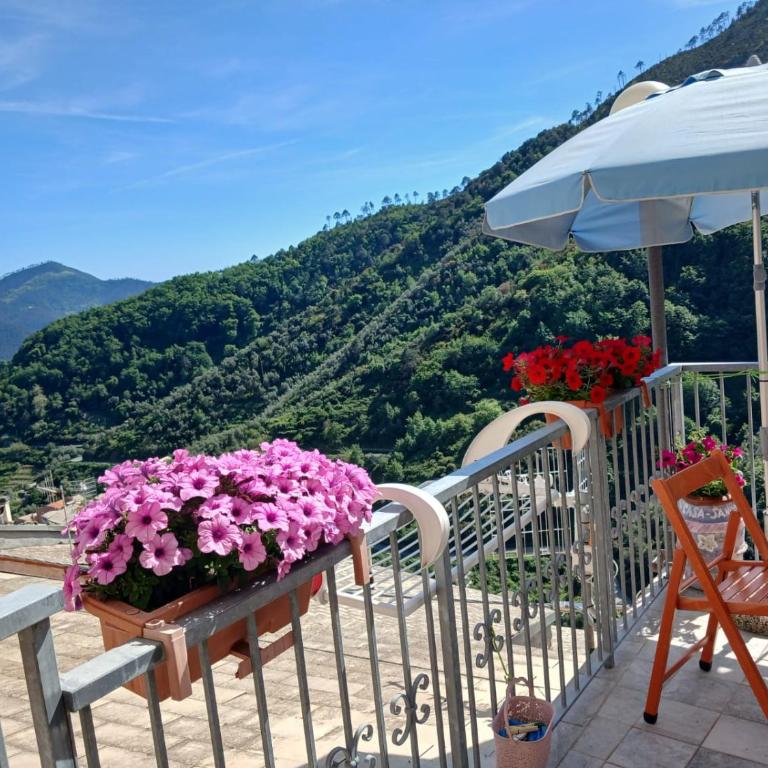 "Casa Sandrina" - Appartamento con 1 Camera da Letto - 22