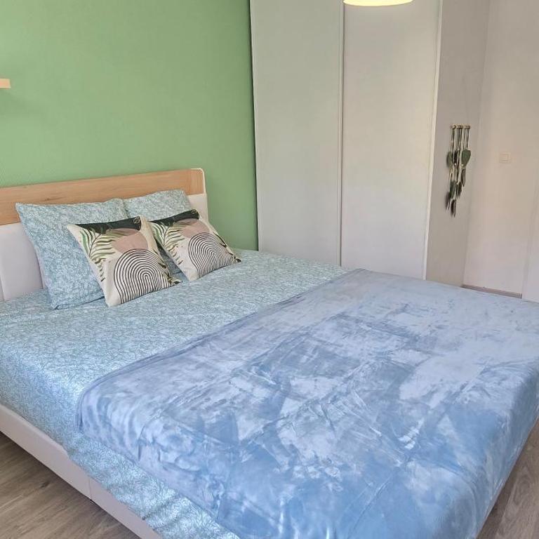 Lourdes Serenity, 8 couchages parking 8mm a pies du sanctuaire - Appartement 2 Chambres - 11