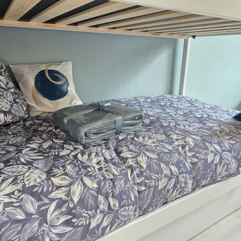 Lourdes Serenity, 8 couchages parking 8mm a pies du sanctuaire - Appartement 2 Chambres - 20