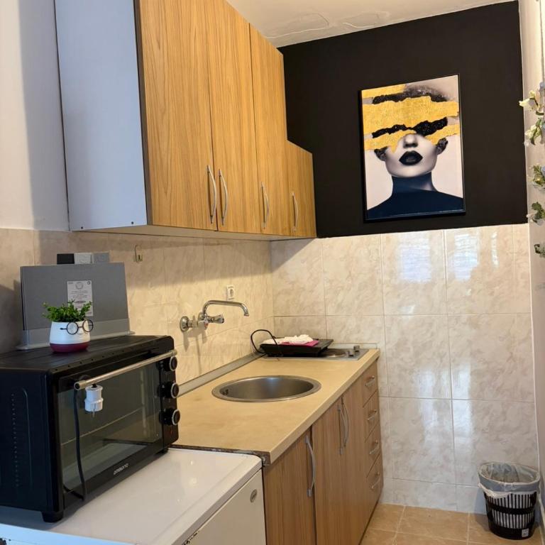 Mir & More - Apartman sa 1 Spavaćom Sobom - 3