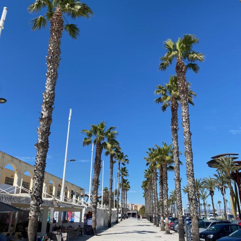 Parasol Holiday Sunny Beach Lovers 1 - Two-Bedroom Apartment - 16