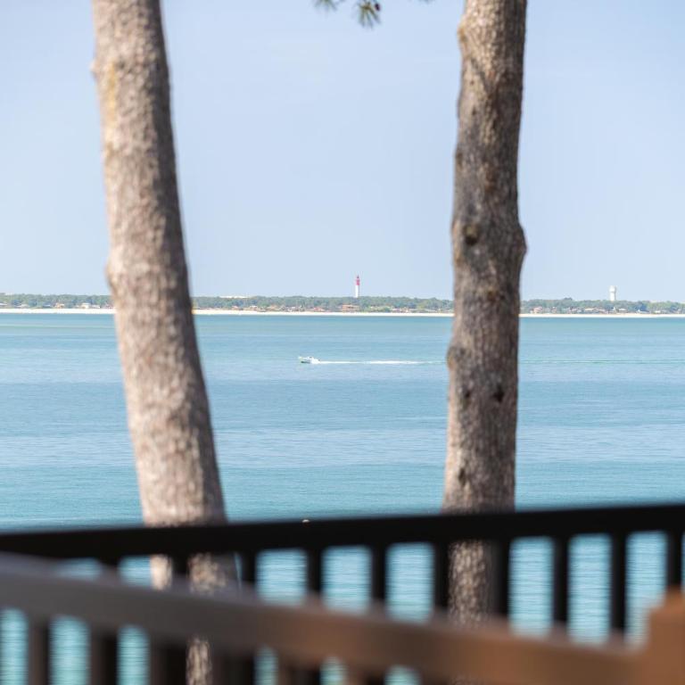 Le Bassin en tête à tête - Villa Deluxe - 31