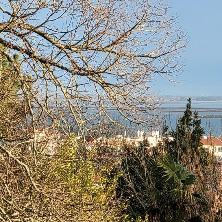 Villa Athena, T2 Ville D'hiver - Superior Apartment mit 1 Schlafzimmer und Balkon - 19