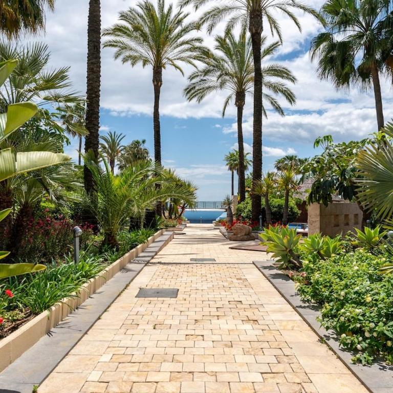 Estepona, Marbella, Malaga - Apartamento de 3 dormitorios - 65