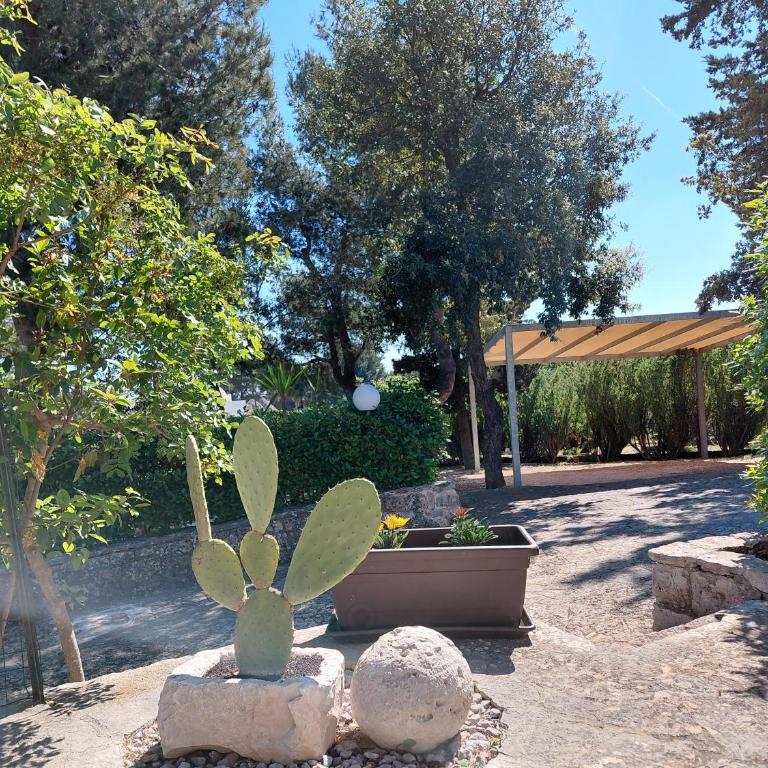 Villa Bellocchio - Appartamento con 2 Camere da Letto - 10