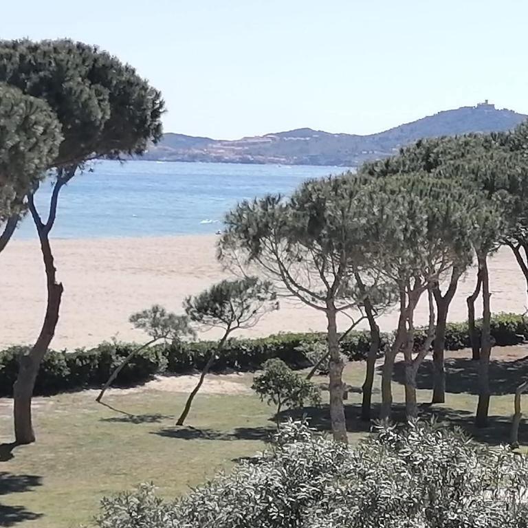 Mer Plage et Soleil - Appartement 1 Chambre - 7