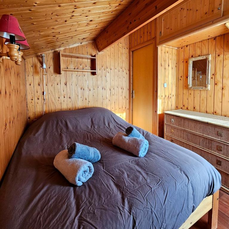 Chalet chaleureux - vue montagnes Grand Massif - Chalet 3 Chambres - 5