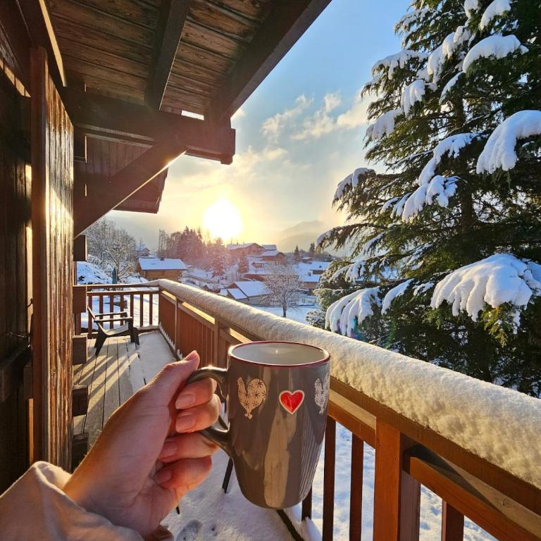 Chalet chaleureux - vue montagnes Grand Massif - Chalet 3 Chambres - 25