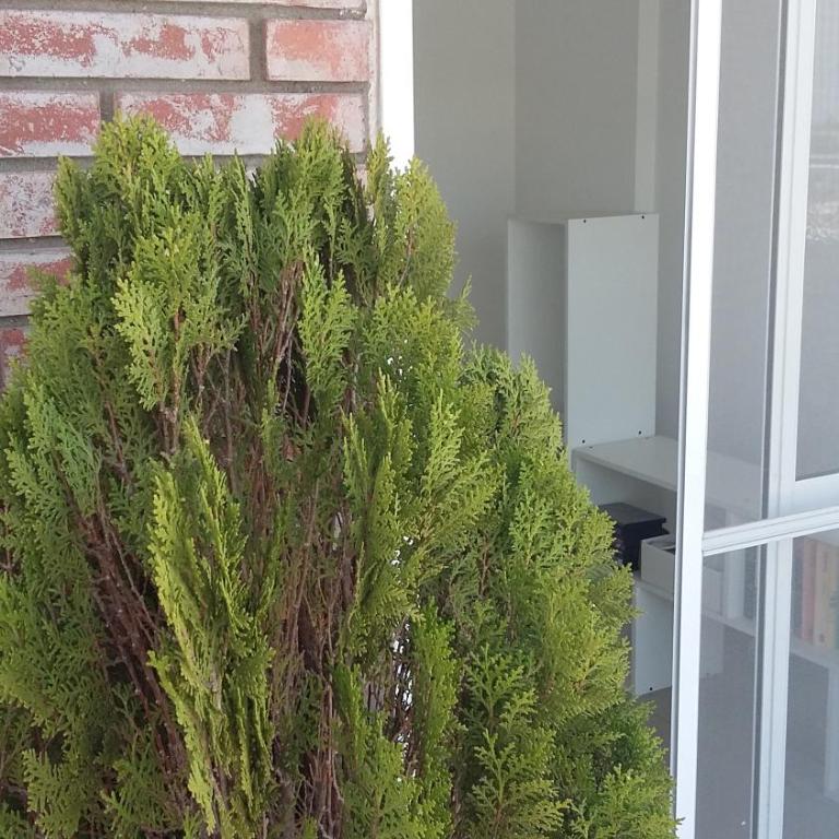 "Altos de Rosario Appart" - Apartamento - 23