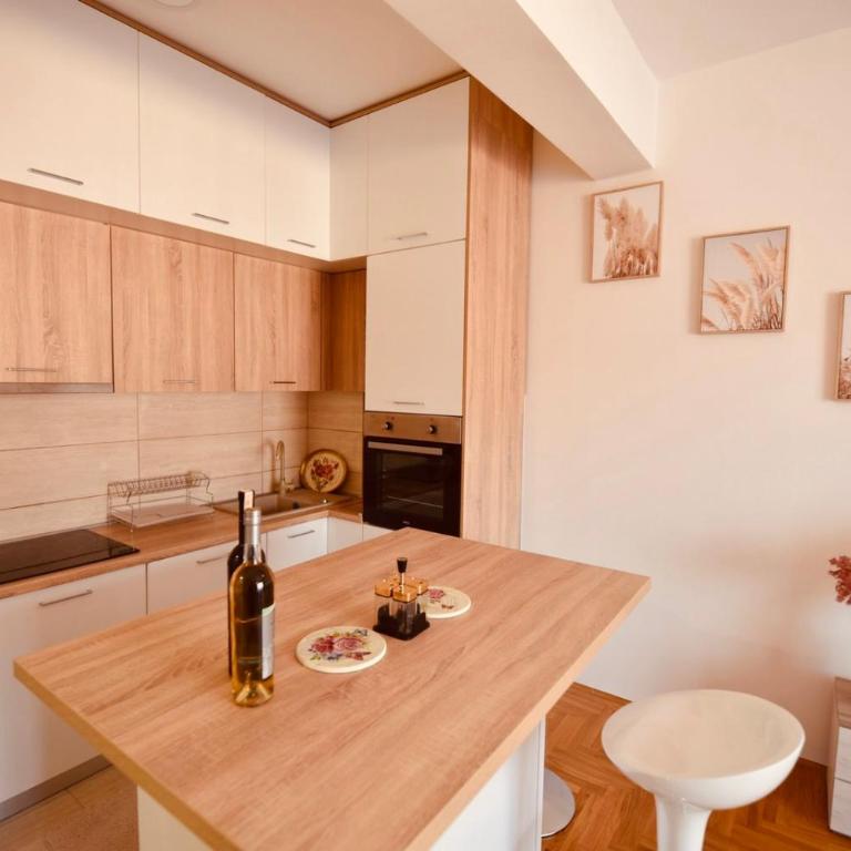 Pčelica Apartments - Apartman s 1 Spavaćom Sobom i Balkonom - 5