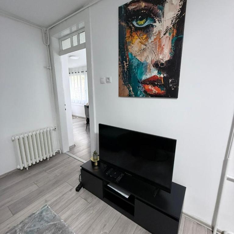 Apartment Zorica - Apartman sa 1 Spavaćom Sobom - 12