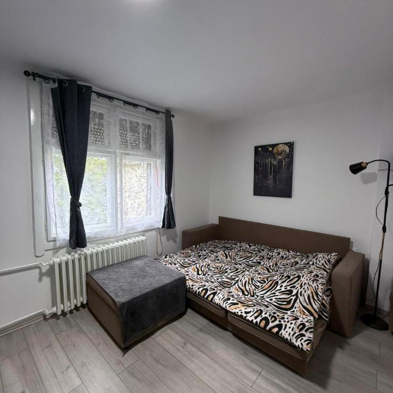 Apartment Zorica - Apartman sa 1 Spavaćom Sobom - 7