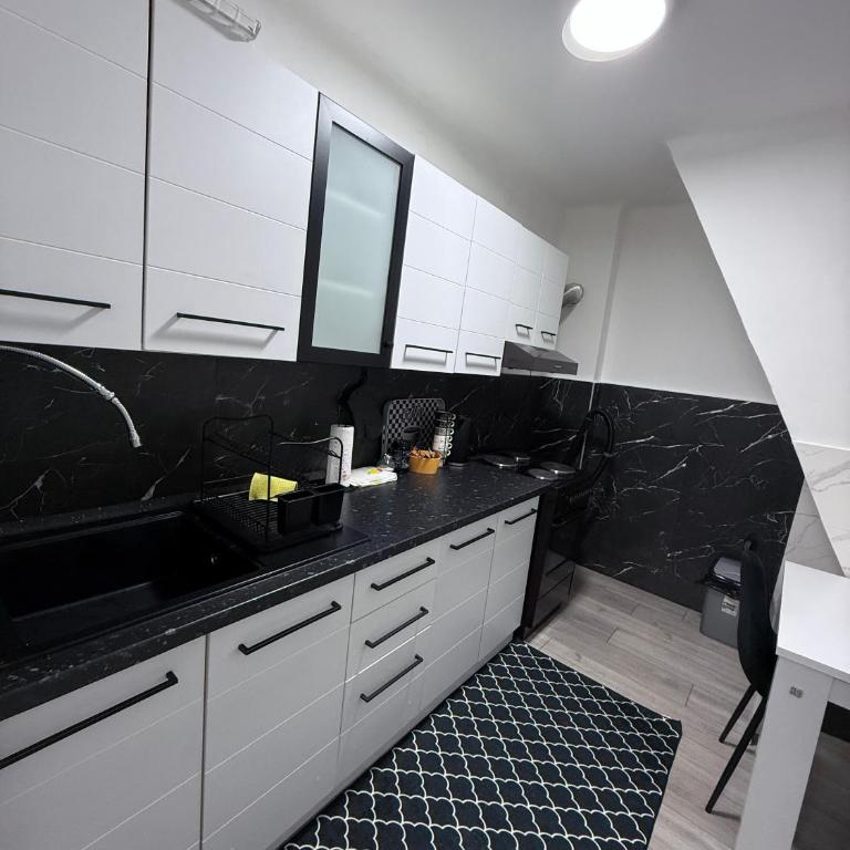 Apartment Zorica - Apartman sa 1 Spavaćom Sobom - 18