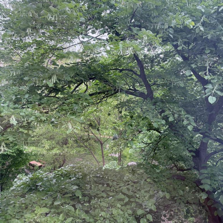 Apartment Zorica - One-Bedroom Apartment - 46