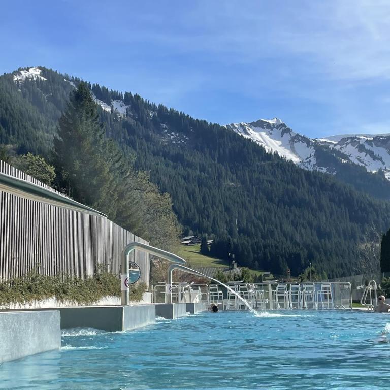 Appartement ski Châtel Haute Savoie - Apartamento de 3 dormitorios - 21