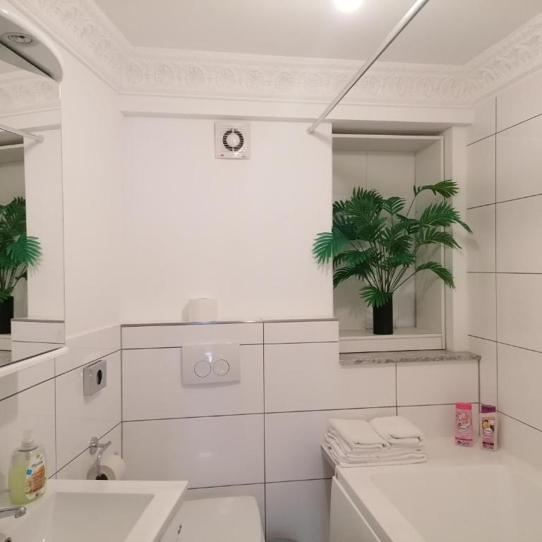 Apartment Storchenfärbe - Studio - 4