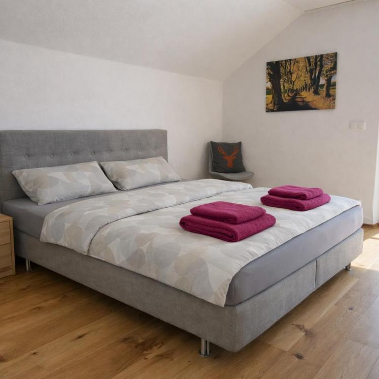 Panorama Apartment im Allgäu mit Balkon, Garten und Stellplatz - Appartamento con 2 Camere da Letto - 9