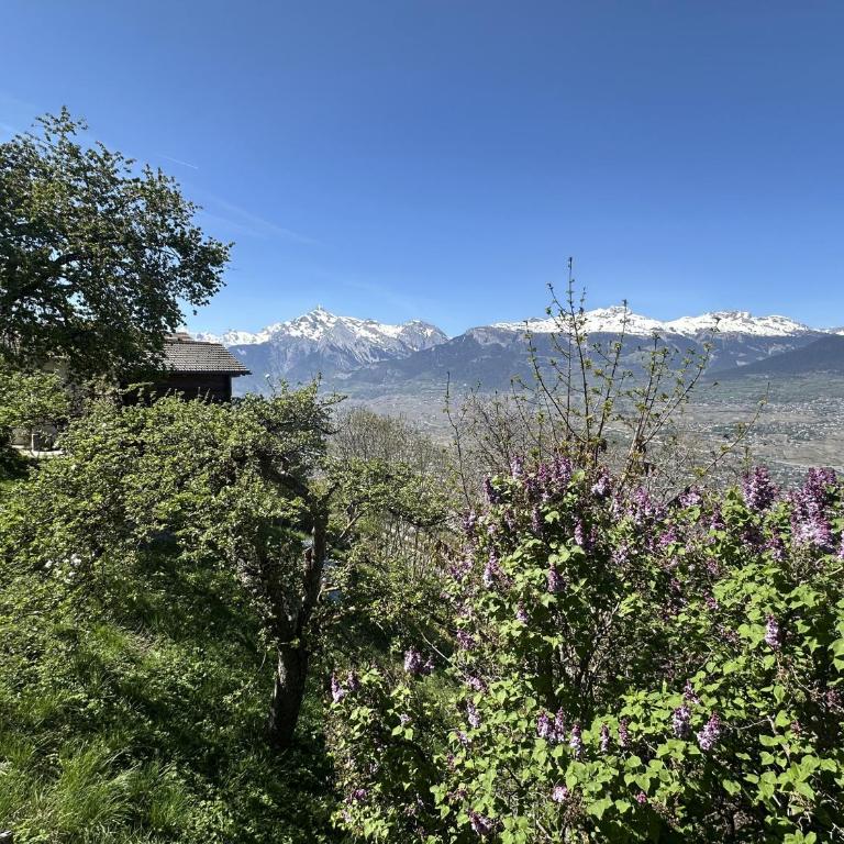 Alpine Nest Chalet, Stunning Mountain Views - Chalet mit 2 Schlafzimmern - 19