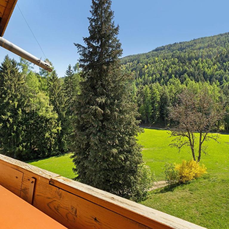 Getzenbergerhof - Appartamento Superior con 1 Camera da Letto e Balcone - 4