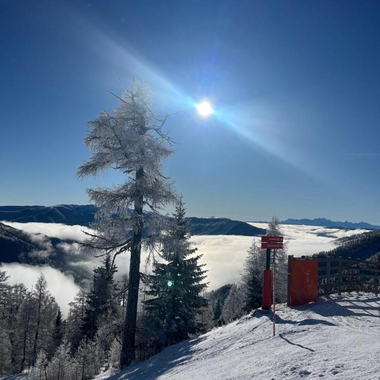 Bel Appartement Bad Kleinkirchheim - Apartment mit 2 Schlafzimmern und Terrasse - 36