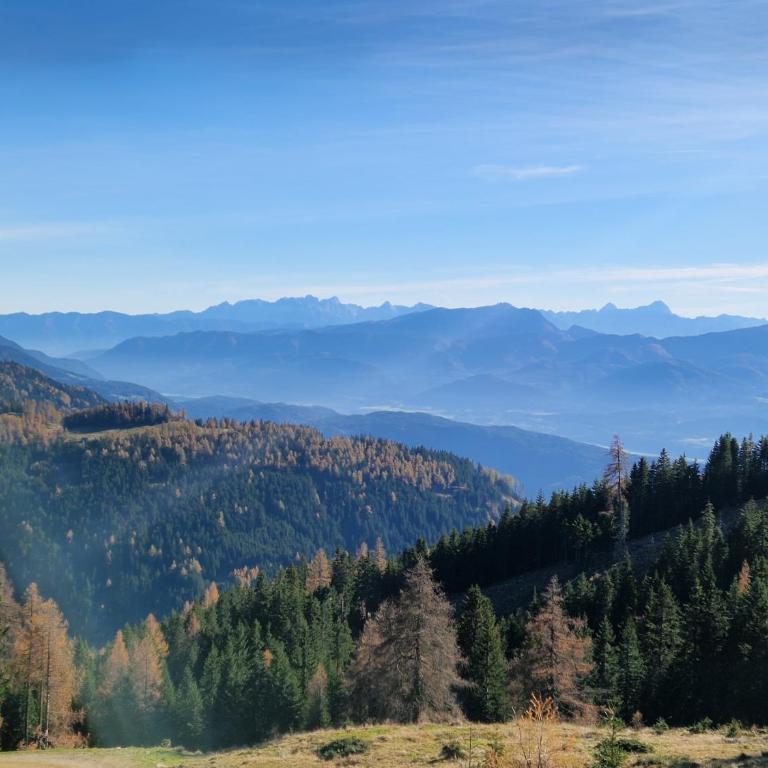 Bel Appartement Bad Kleinkirchheim - Apartment mit 2 Schlafzimmern und Terrasse - 56