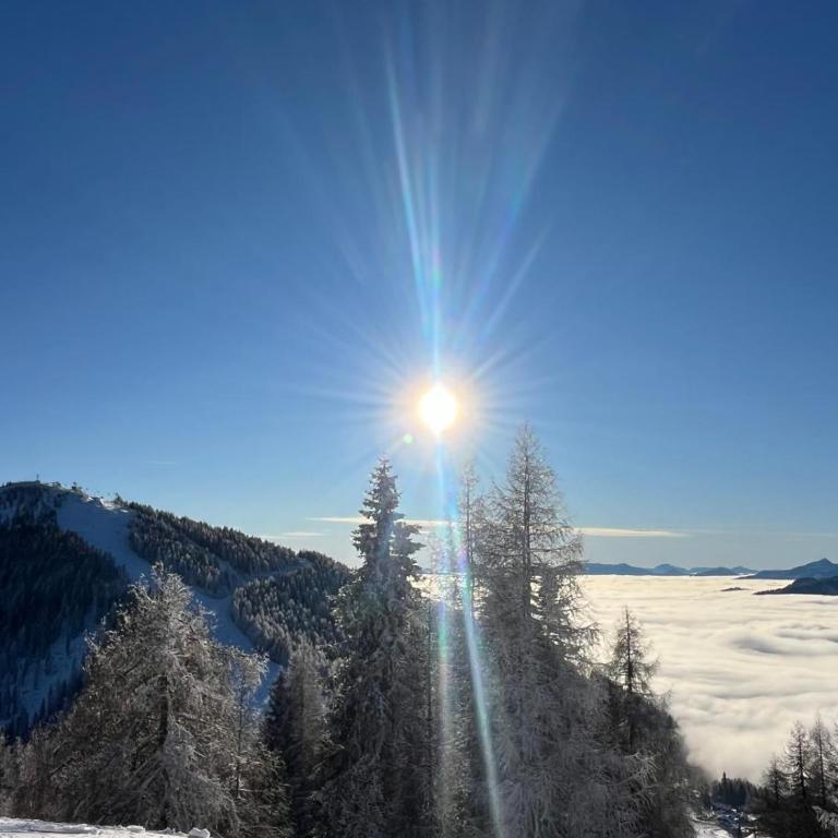 Bel Appartement Bad Kleinkirchheim - Apartment mit 2 Schlafzimmern und Terrasse - 40