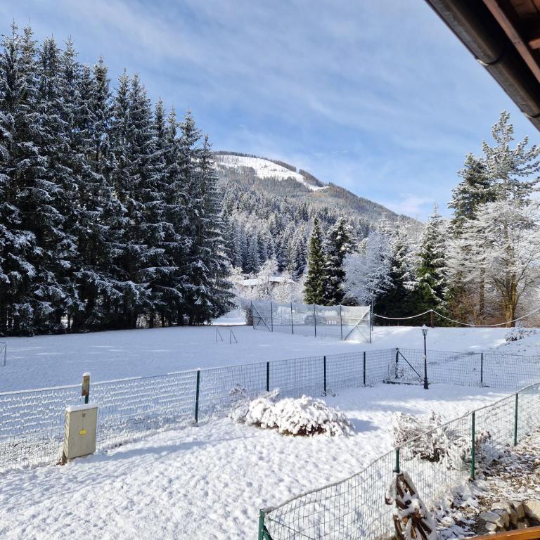 Bel Appartement Bad Kleinkirchheim - Apartment mit 2 Schlafzimmern und Terrasse - 37