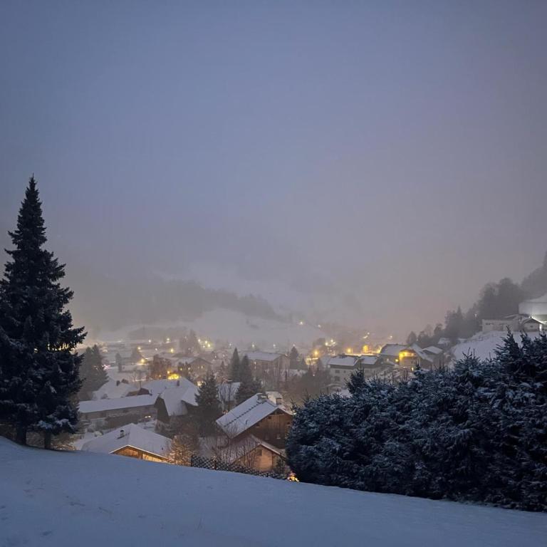 Bel Appartement Bad Kleinkirchheim - Apartment mit 2 Schlafzimmern und Terrasse - 48