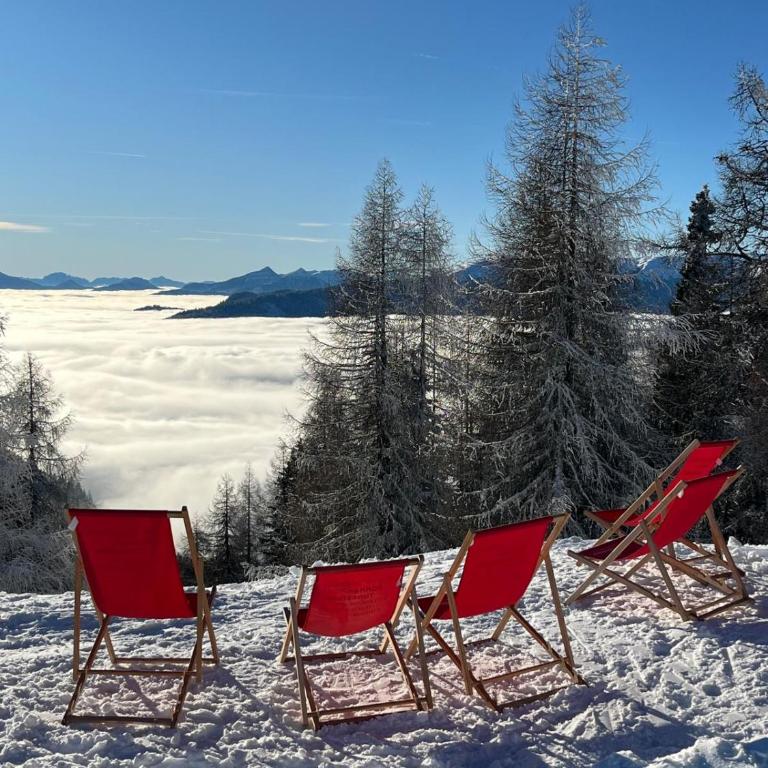 Bel Appartement Bad Kleinkirchheim - Apartment mit 2 Schlafzimmern und Terrasse - 50