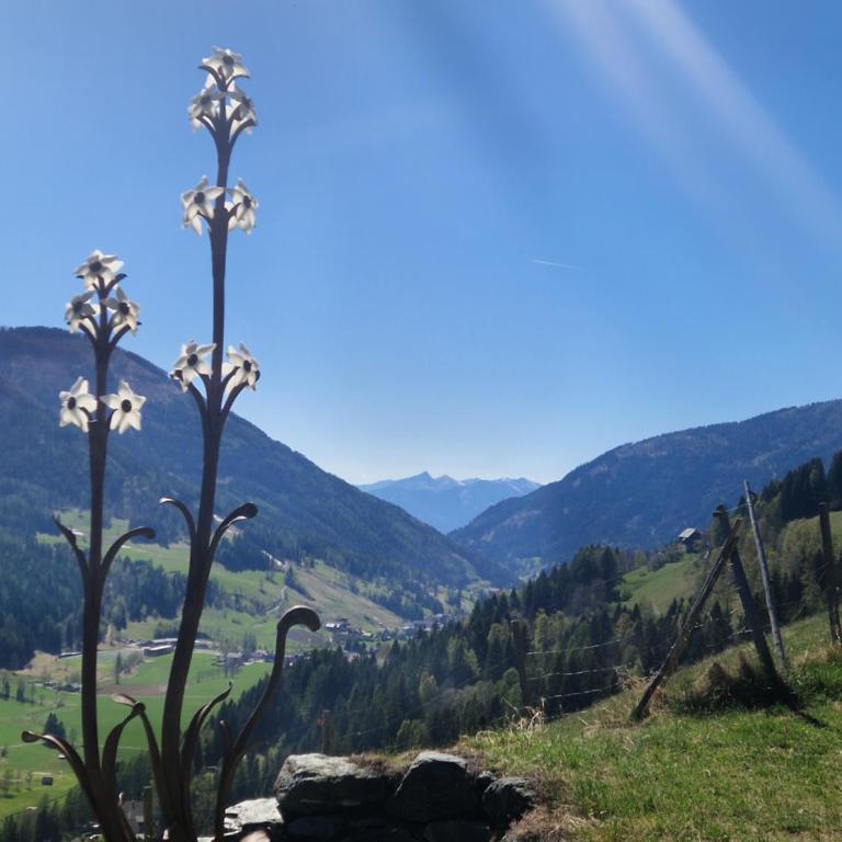 Bel Appartement Bad Kleinkirchheim - Apartment mit 2 Schlafzimmern und Terrasse - 22