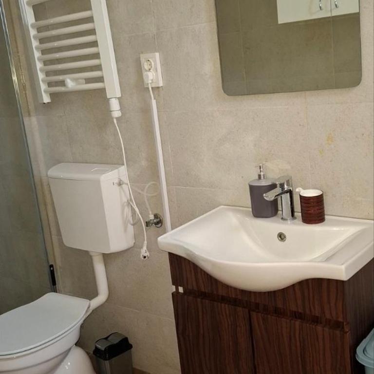 Green Garden - Apartman sa 1 Spavaćom Sobom - 3