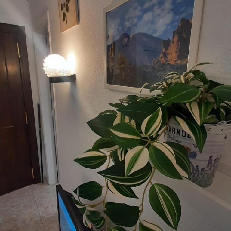 Estudio moderno en Paraiso San Telmo cerca de la playa - Apartamento de 1 dormitorio - 9