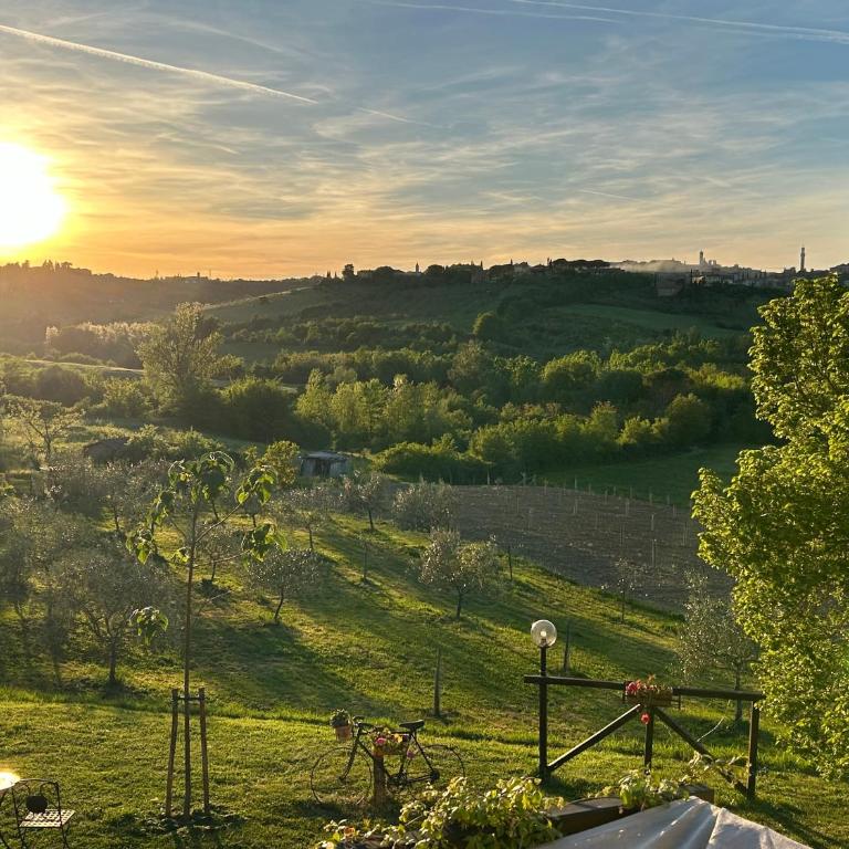 Agriturismo La Corte del Sole - Appartamento con 1 Camera da Letto - 1