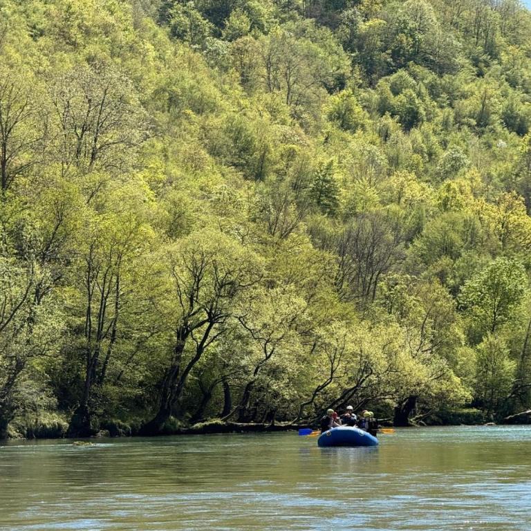 Vikendica Krupa na Vrbasu - Kuća sa 1 Spavaćom Sobom - 18