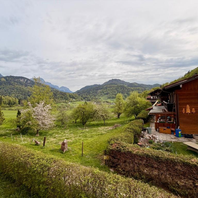 FeWo Altes Doktorhaus - Appartamento con 2 Camere da Letto e con Vista - 40