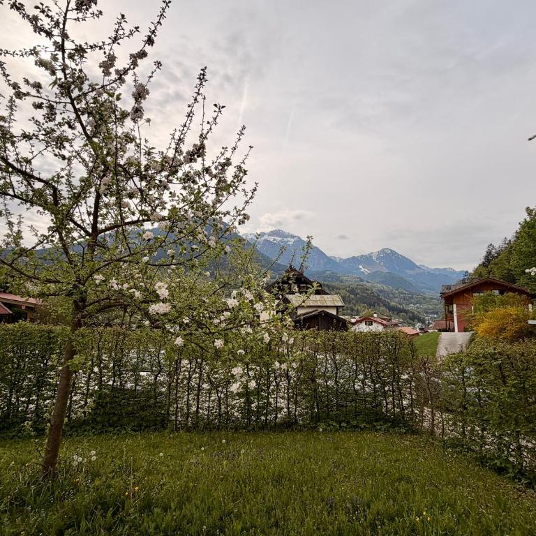 FeWo Altes Doktorhaus - Appartamento con 2 Camere da Letto e con Vista - 44