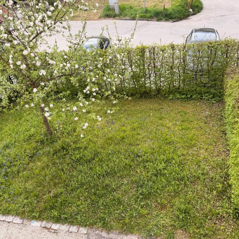 FeWo Altes Doktorhaus - Appartamento con 2 Camere da Letto e con Vista - 48
