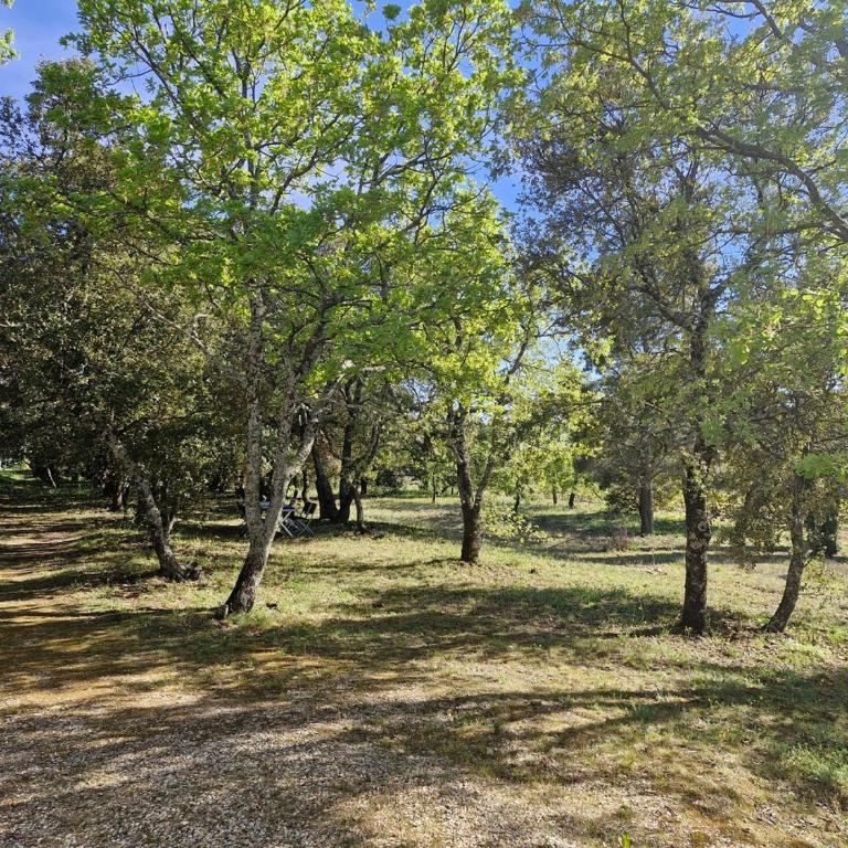 Campagne et Vue Panoramique, La Florestelle ! - Villa - 4