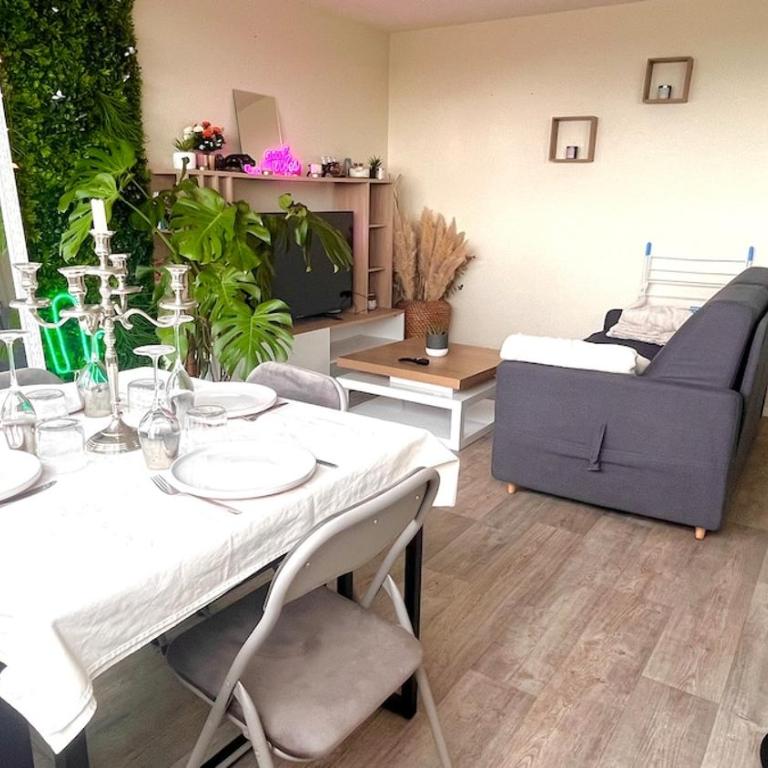 Appartement proche centre ville - Appartement 1 Chambre - 7