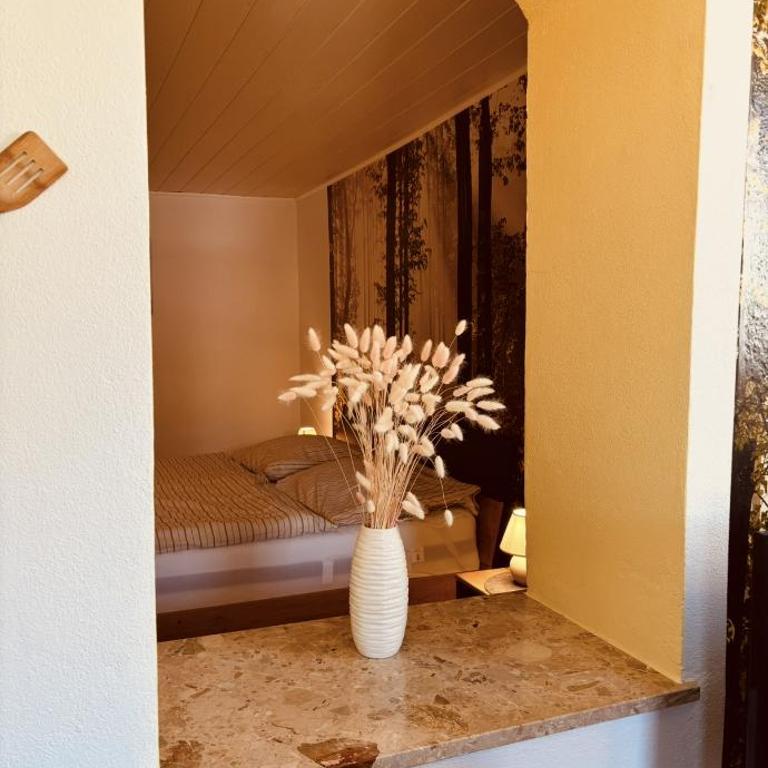 Bergblick Apartments - Natur & Panorama in Bad Ischl - Apartment mit 1 Schlafzimmer - 2
