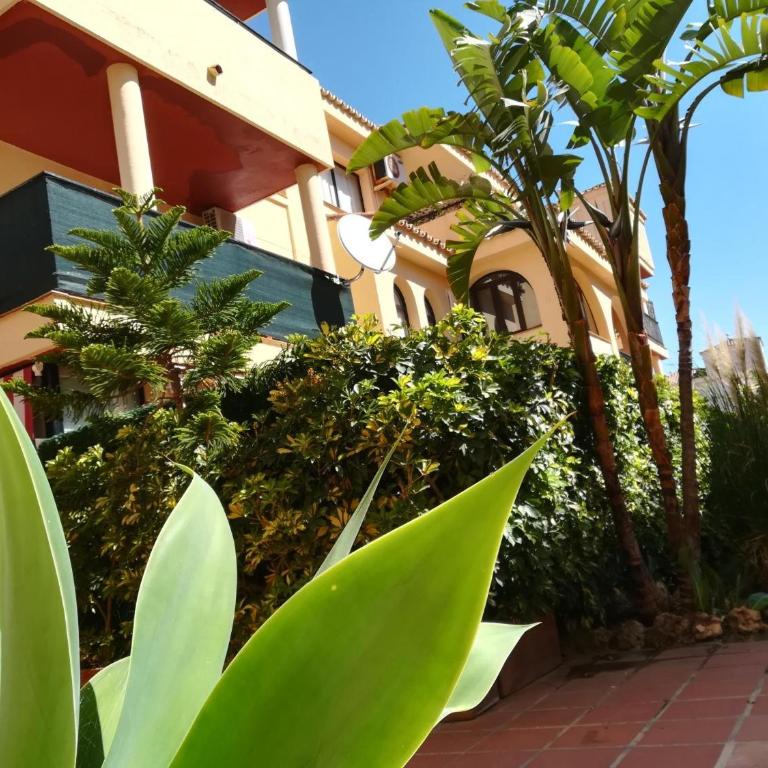 Sun Beach Apartment - Apartamento de 1 dormitorio con vistas al jardín - 14