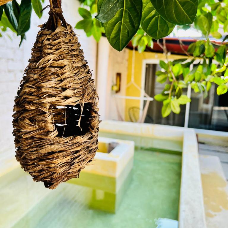 Casa de vacaciones completa - Casa de 2 dormitorios - 1