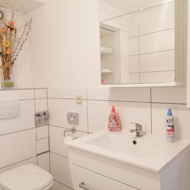 Apartment Storchenfärbe - Superior Studio - 1