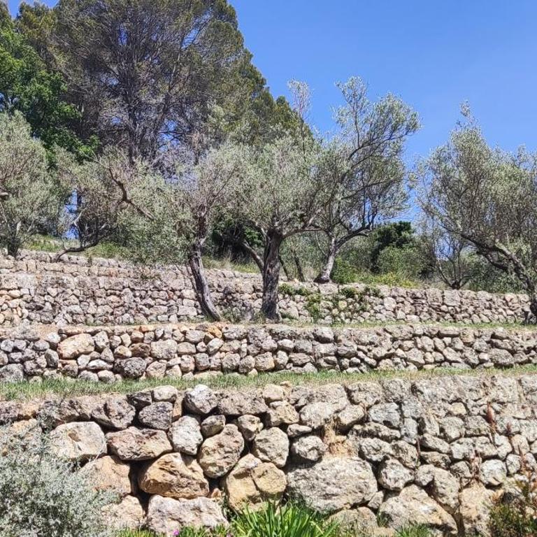 Villa Maya Blanca entre côte d́́́ Azur et gorges du Verdon et recharge voiture électrique - Studio - Vue sur Piscine - 9