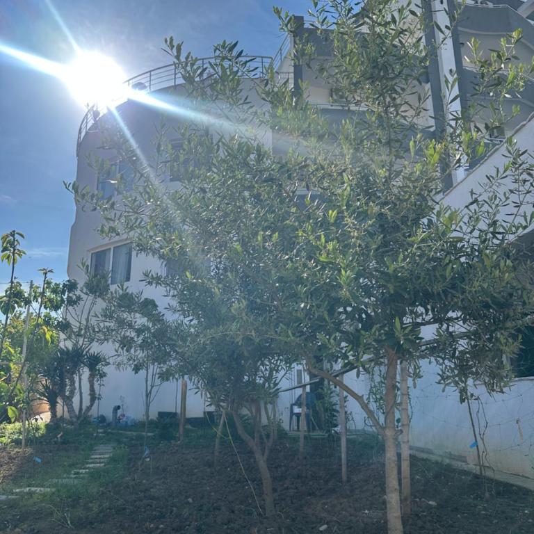 Garden studio apartmans - One-Bedroom Apartment - 3