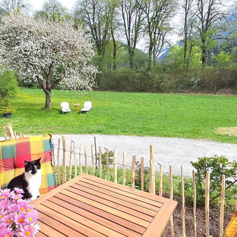 Hartmann´s Nescht - Apartment mit 1 Schlafzimmer und Terrasse - 33