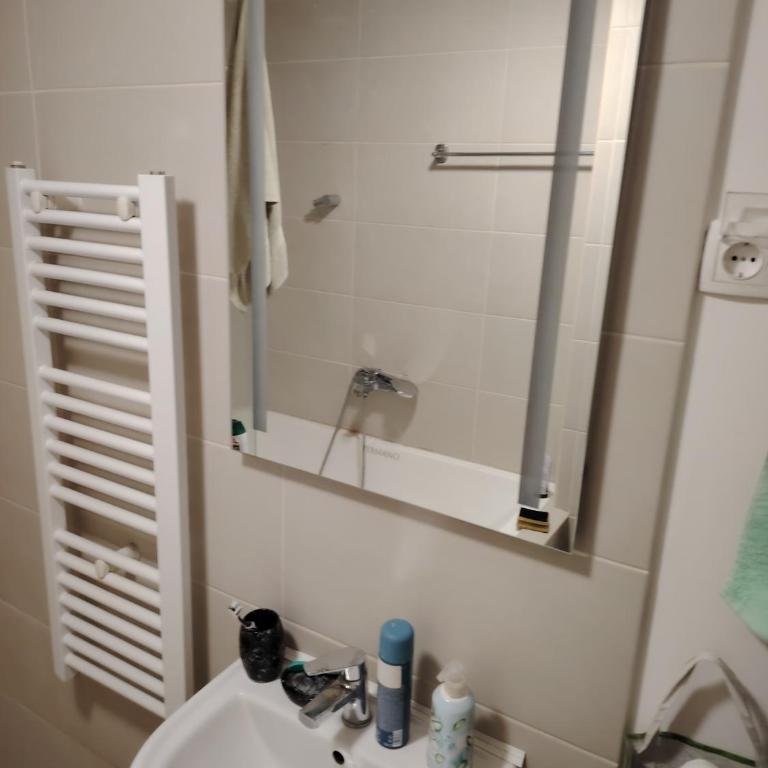 Garsonjera, KORNELIJA STANKOVIĆA - Apartman sa 1 Spavaćom Sobom - 1