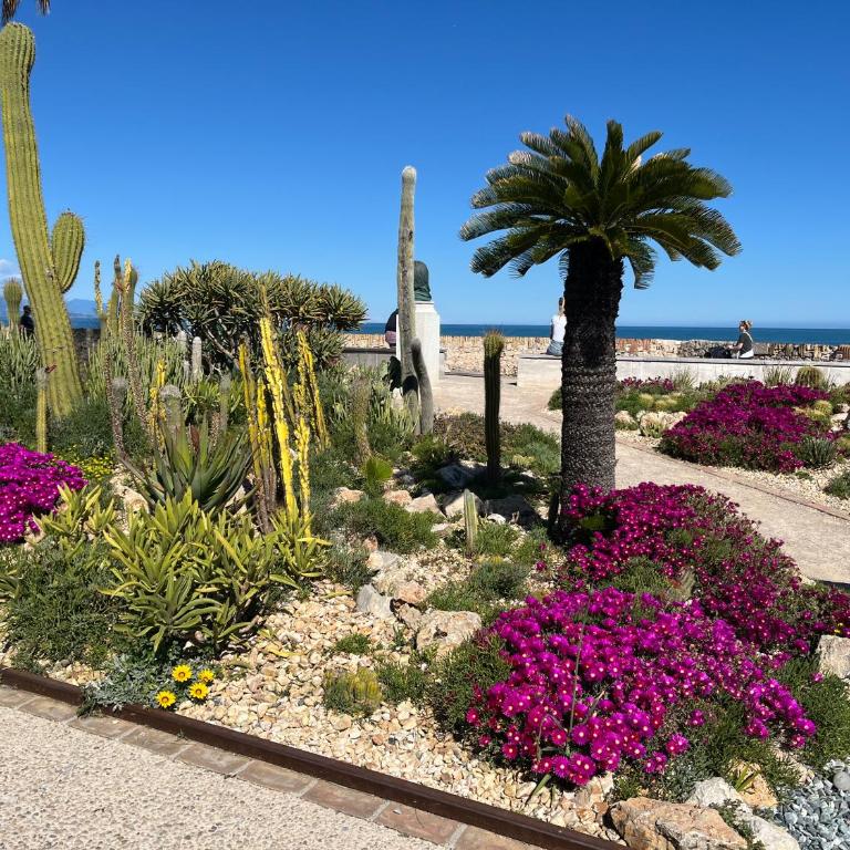 Authentic Old Antibes Duplex with Seaview Terrace - Apartment mit 3 Schlafzimmern - 41