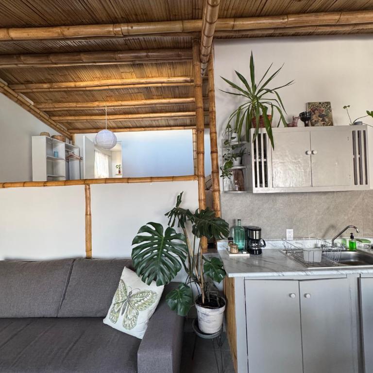 Bamboo Loft CDMX - Apartamento de 1 dormitorio - 7
